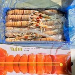 【澳新海鲜】新西兰南极深海小龙虾鳌虾Scampi(Connors Catch白盒)最新日期 1kg/盒 2号:约11-15只/盒/kg，约25-27cm/只